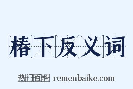 椿下反义词是什么意思的图片